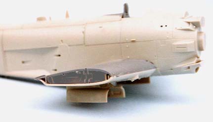 wing