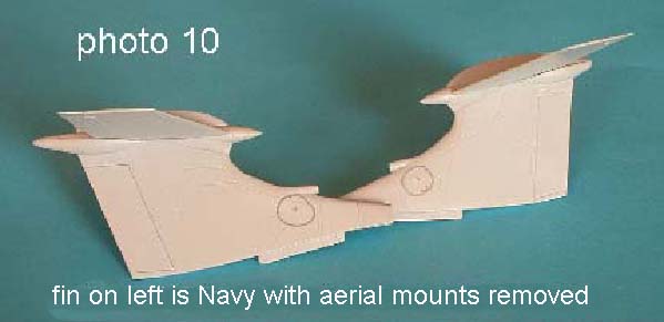 tail