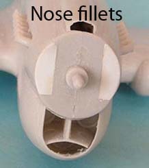 fillets