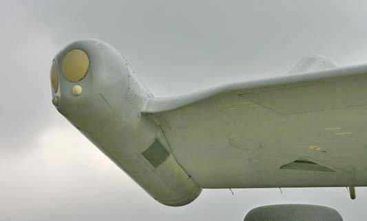wing tip