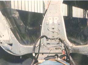 canopy interior