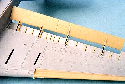 wing