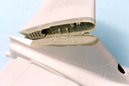 tailfold
